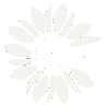 ekukka